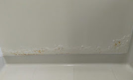 浴室壁のふくらみ