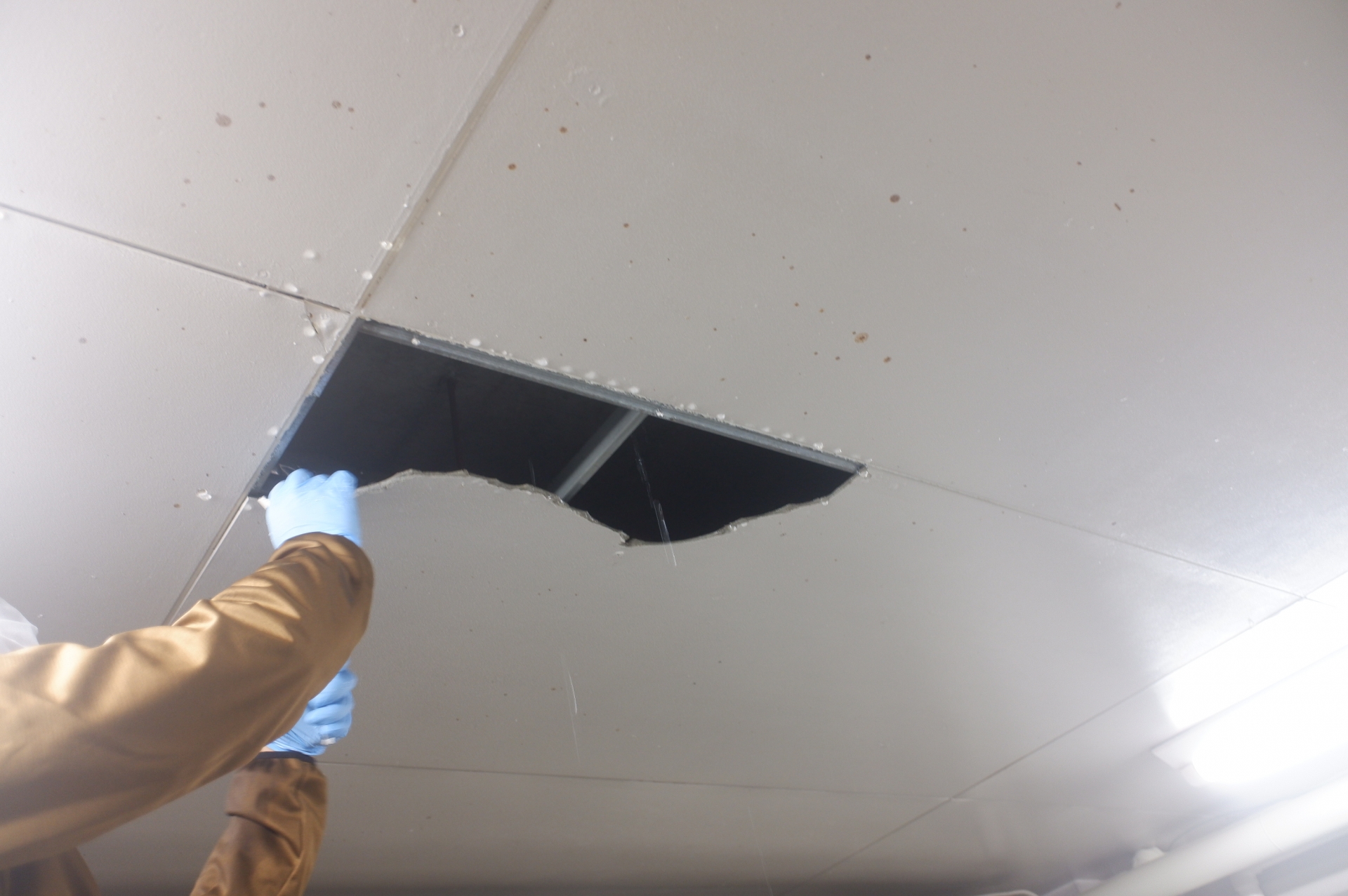 天井の修理