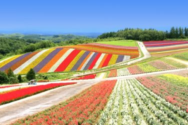 砂川市